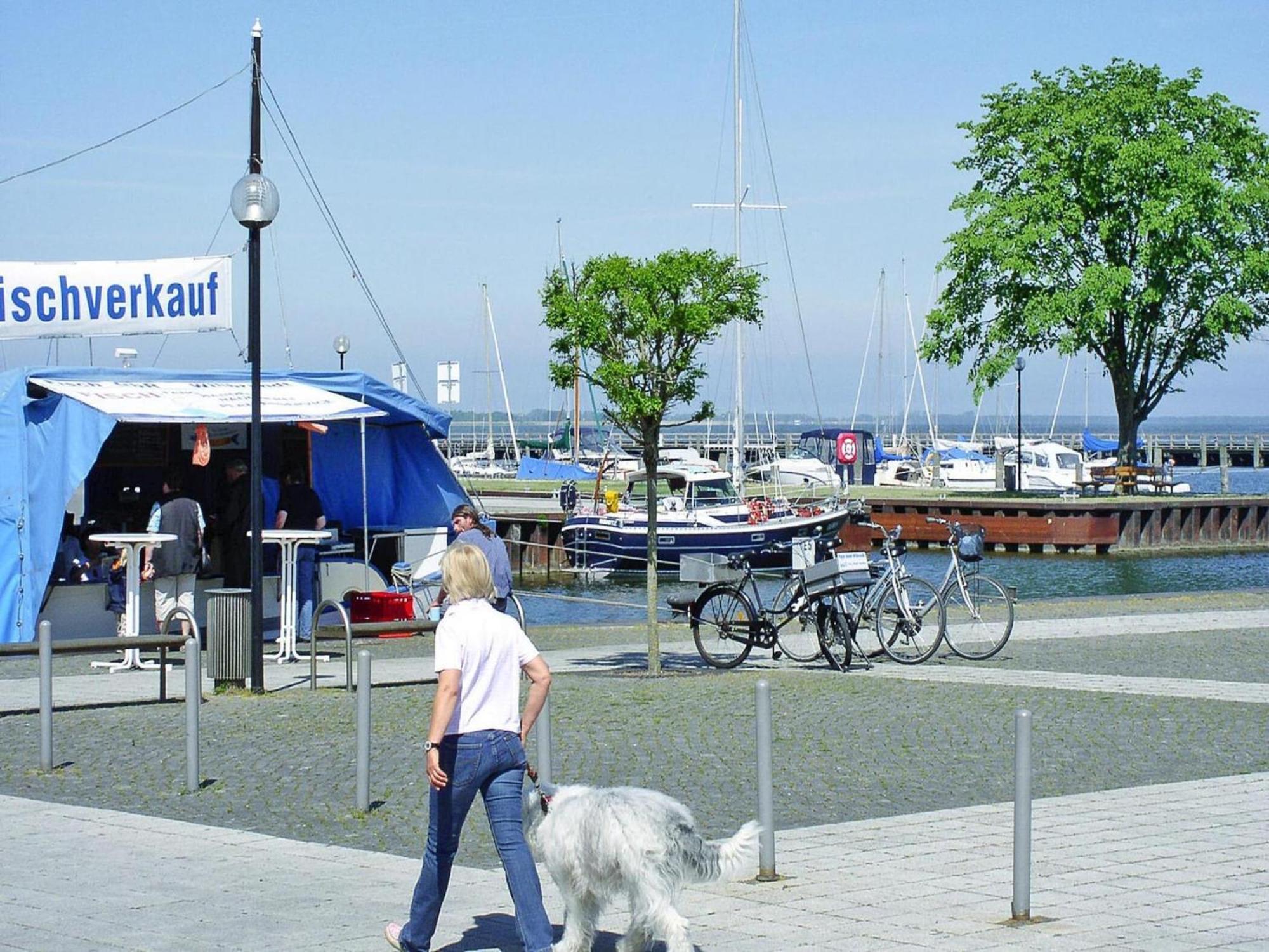 Ferienwohnung In Ribnitz-Damgarten Luaran gambar